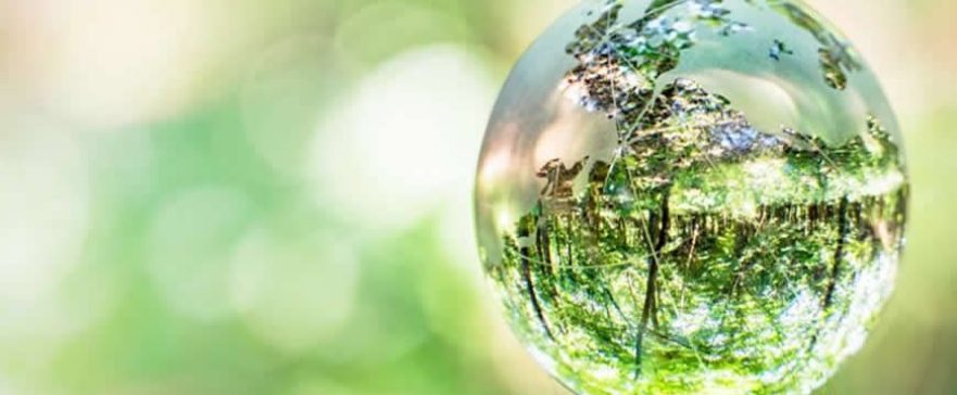 dtc-environmental-management-certification